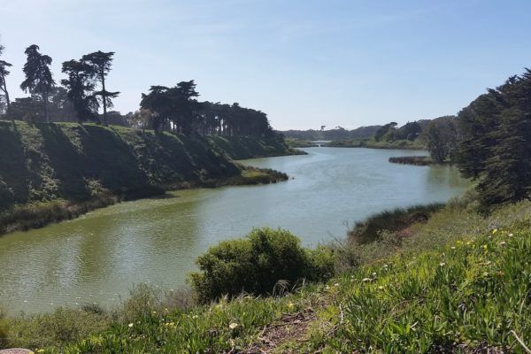 Lake Merced