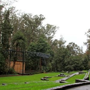 Arboleda Sigmund Stern