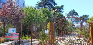 Campo de Juegos Cayuga