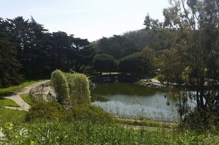 McLaren Park Trails