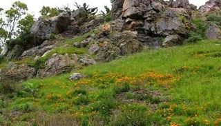 Parque del Cañón Glen