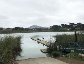 Proyecto de Reemplazo del Muelle para Botes del Lago Merced