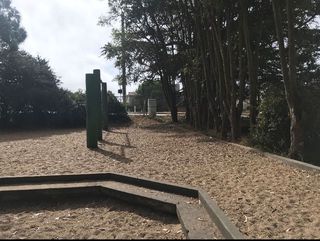 Reparaciones de Emergencia en Stern Grove
