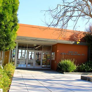 Centro de Artes Recreativas Harvey Milk