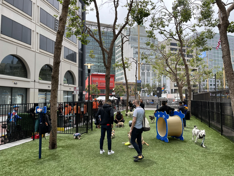 聯合國廣場狗公園