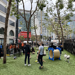 U.N. Plaza Dog Park