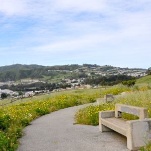 mclaren park trails