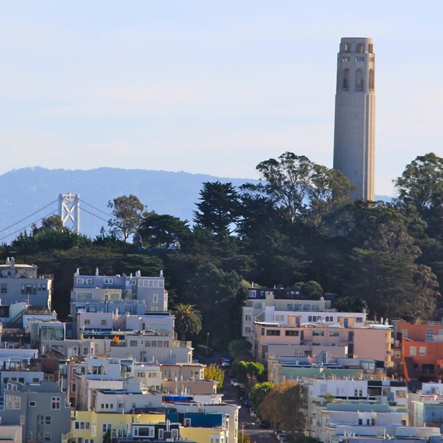 Coit Tower visible above the trees