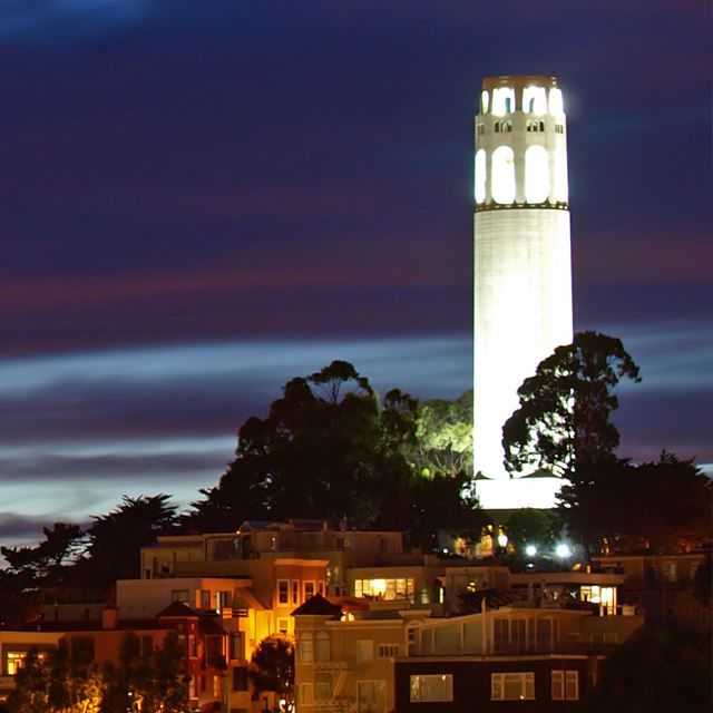 Coit Tower illuminated at night against the San Francisco skyline