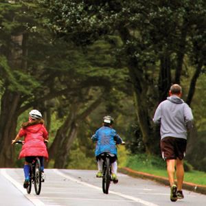 无车道路