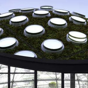 Exterior of the California Academy of Sciences with its living roof