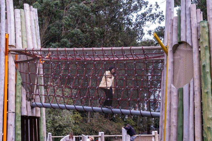 Estructura de red de la Arboleda Stern
