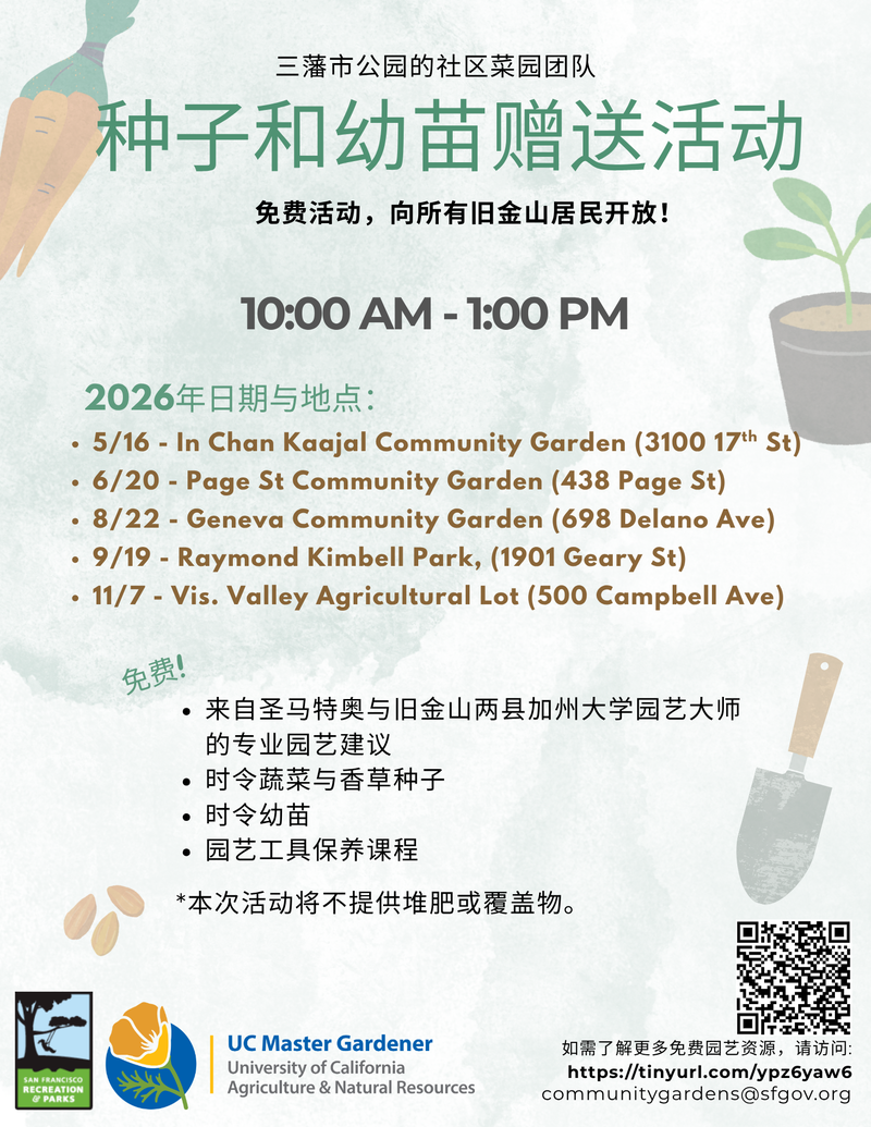 2026年免費發放 中文