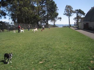 Proyecto de Mejora del Centro Recreativo Cerro Potrero