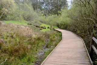 Creeks to Peaks Trail