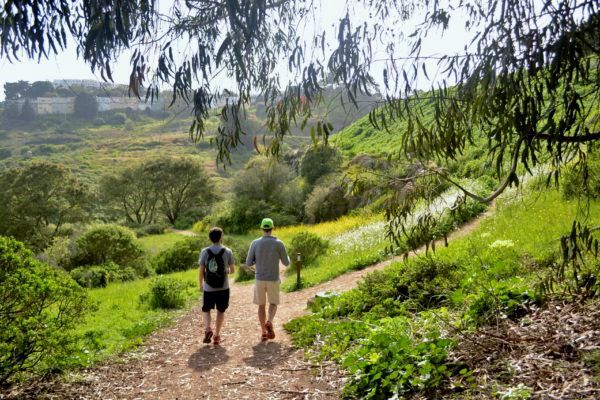 Creeks to Peaks Trail at Glen Canyon