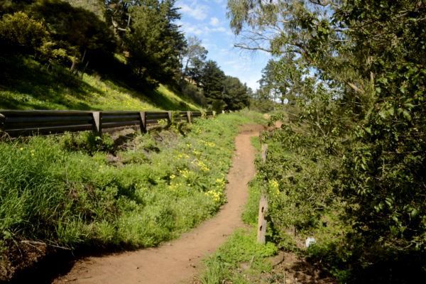 Creeks to Peaks Portola Drive Trail