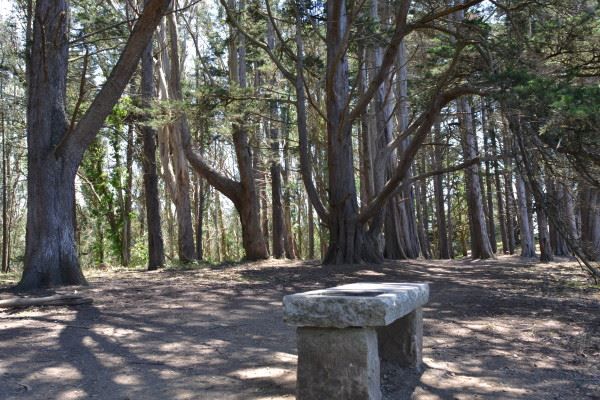 Bench on Philosophers Way