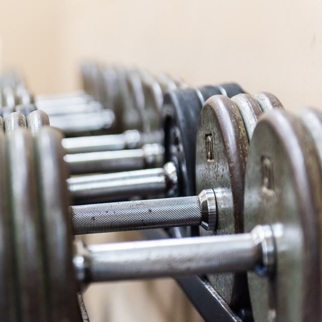 Row of barbels
