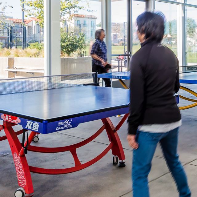People playing ping pong