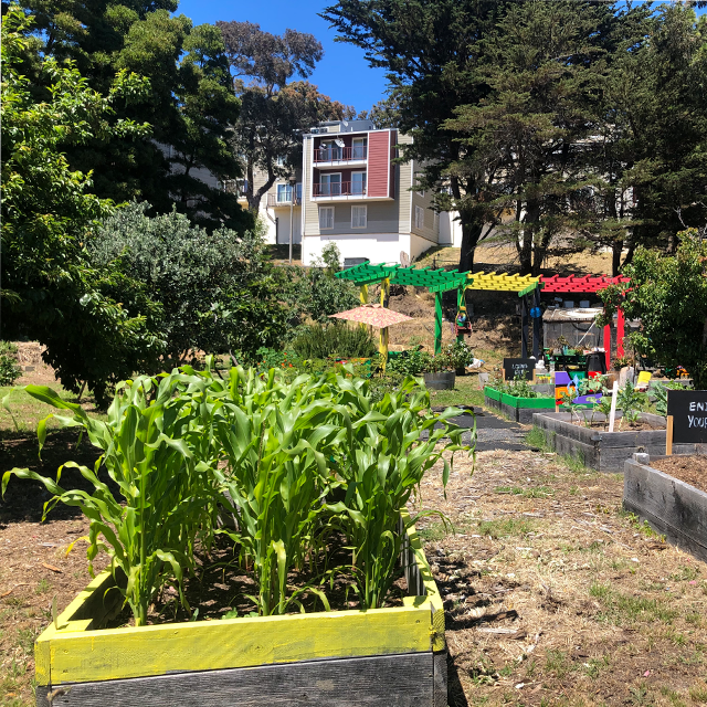亞當羅傑斯社區花園