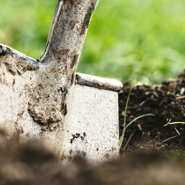 Shovel digging into earth