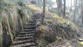 Proyecto de Mejoramiento de Senderos del Monte Davidson