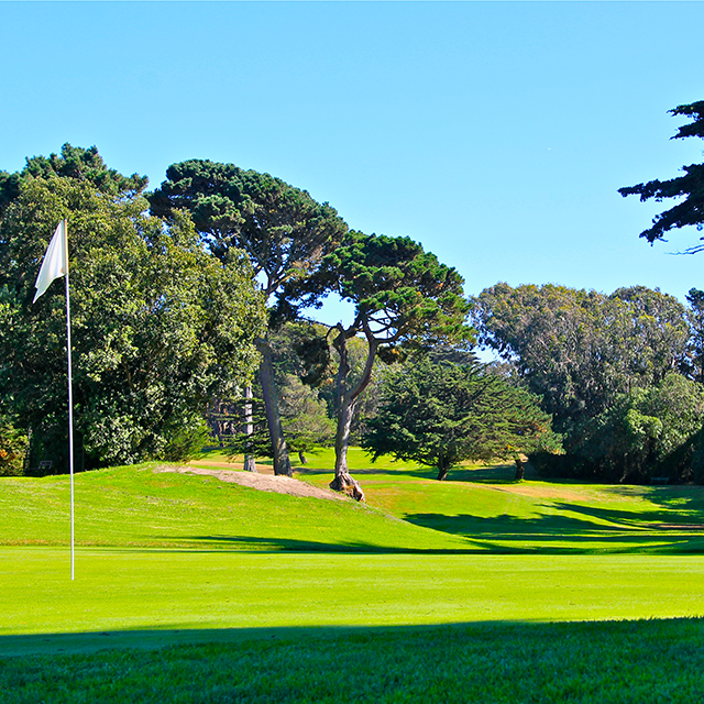 Golf Green 1