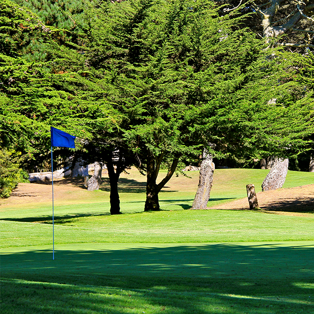 Golf Green 2