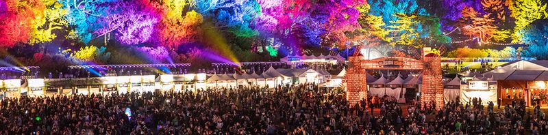 Crowded festival with colorful lights projected on the trees