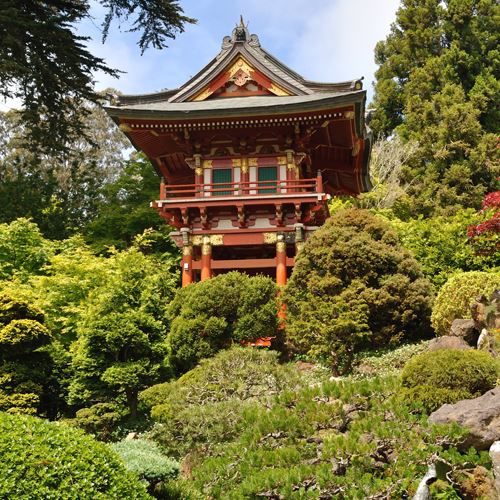 Japanese Tea Garden pagoda rising out of lush greenery