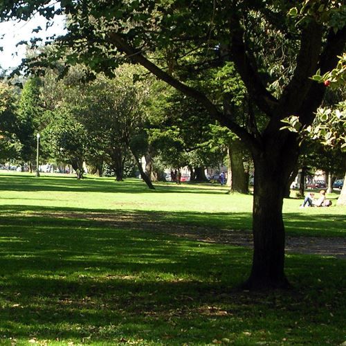 Lush green lawns and trees in the Panhandle park