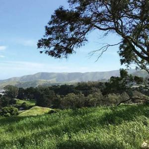 mclaren park improvements