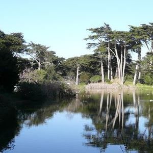 马球场附近梅特森湖平静的水面