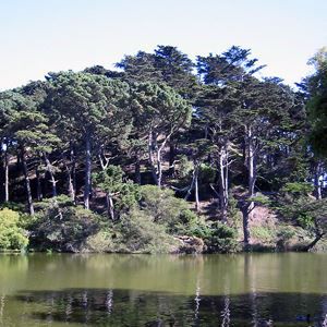 从草莓山眺望湖水与树木