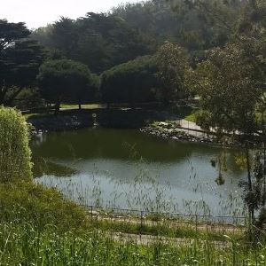 路易斯·萨特游乐场的麦克纳布湖景色